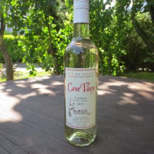 Fendant de Fully vieilles vignes 50 cl